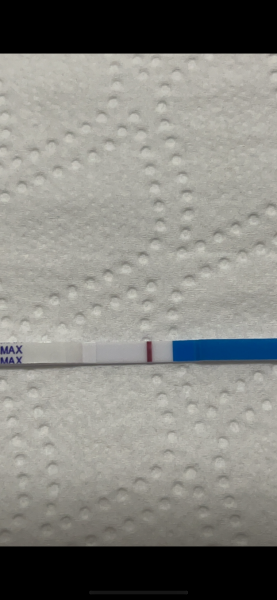 Does anyone see anything on these tests