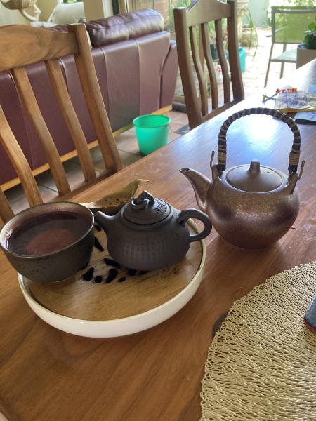 Help me choose a teapot (I'm a teapot beginner)!