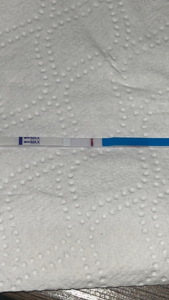 Does anyone see anything on these tests