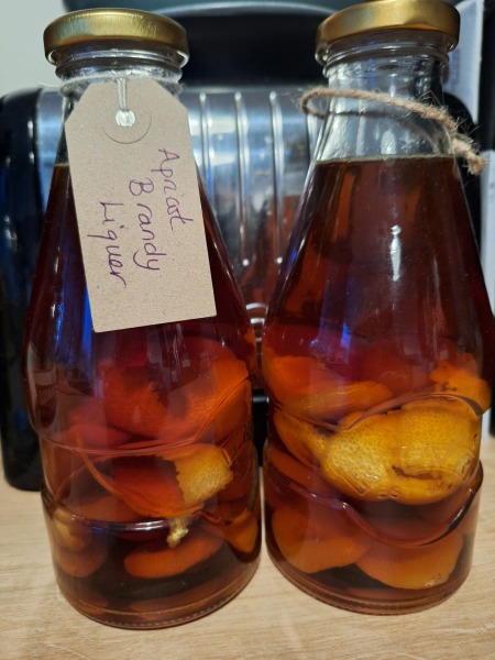 The Nigel Slater Christmas Chronicles Readalong 2024