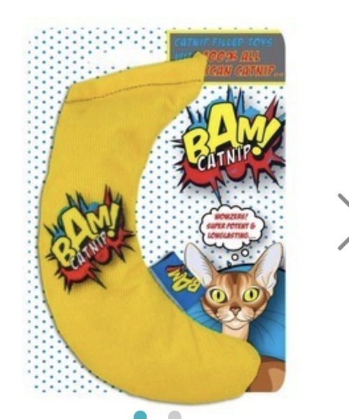 Essentials for a new cat