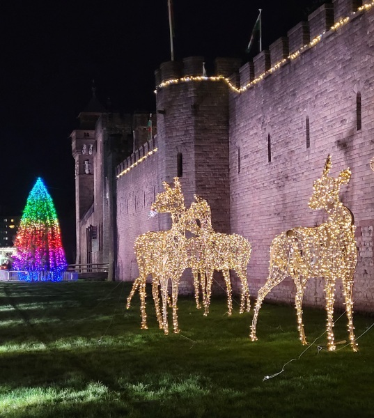 The Nigel Slater Christmas Chronicles Readalong 2024 Part 2