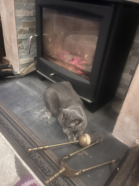 Has anybody got a fire or logburner lit at home today?