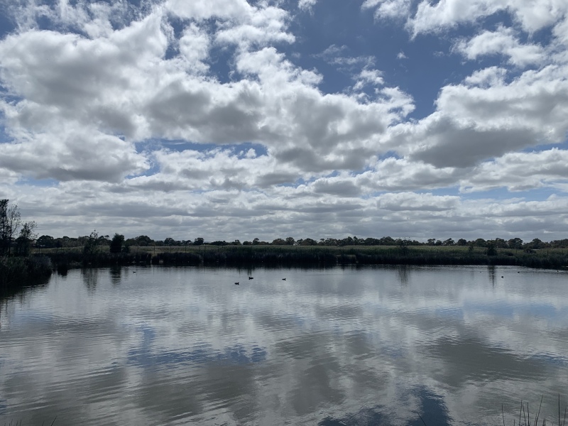 The Great Cancer Recovery part 3