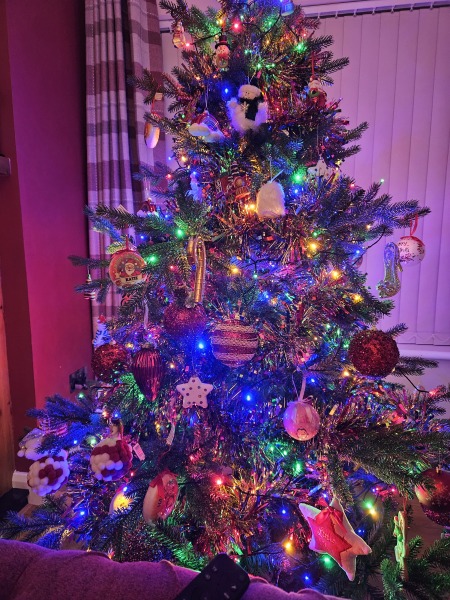 Show us your Christmas trees