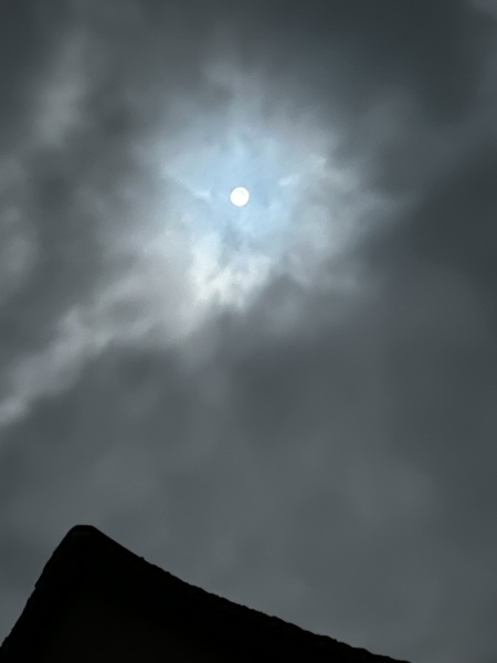 Come and tell me your dull and unexciting news 31: Calmly through the day