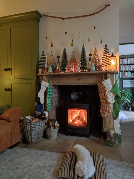 Has anybody got a fire or logburner lit at home today?