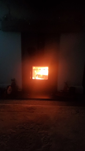 Has anybody got a fire or logburner lit at home today?