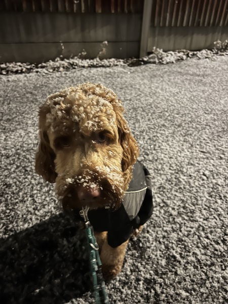 It’s snowing ❄️