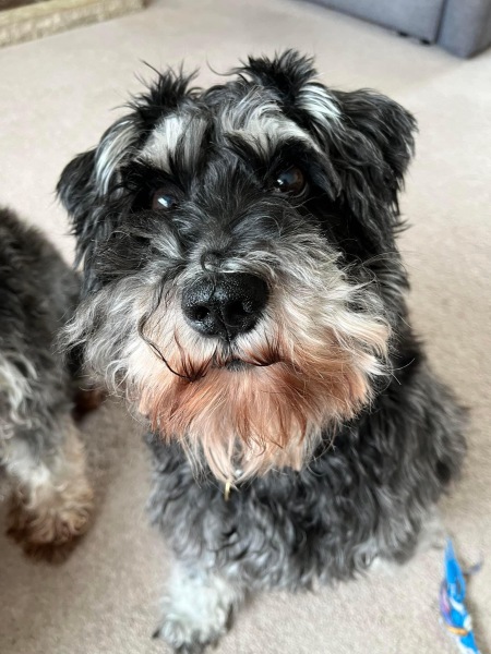 Thread 10 Starmer: First Female Chancellor delivers the Budget