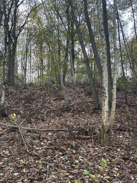 Mounjaro August starters thread 8