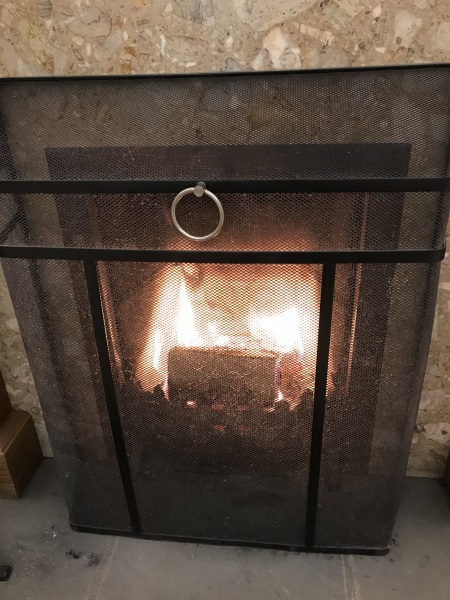 Has anybody got a fire or logburner lit at home today?