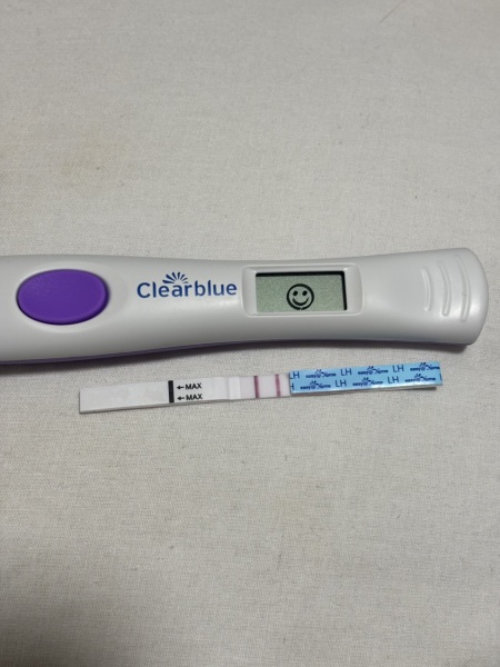 Positive ovulation but can't DTD