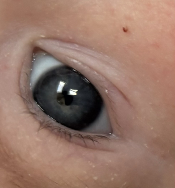 Just for fun baby eye colour