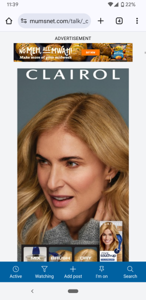 Huge adverts making site unusable