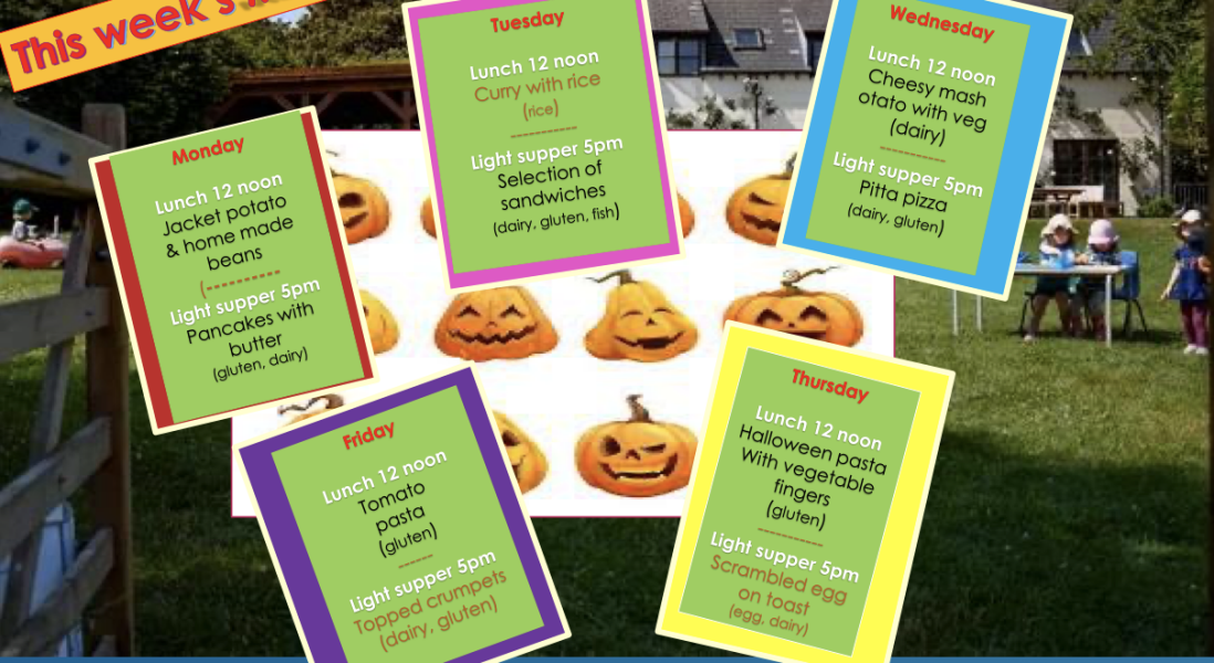Nursery Food Menu - can you show me yours?