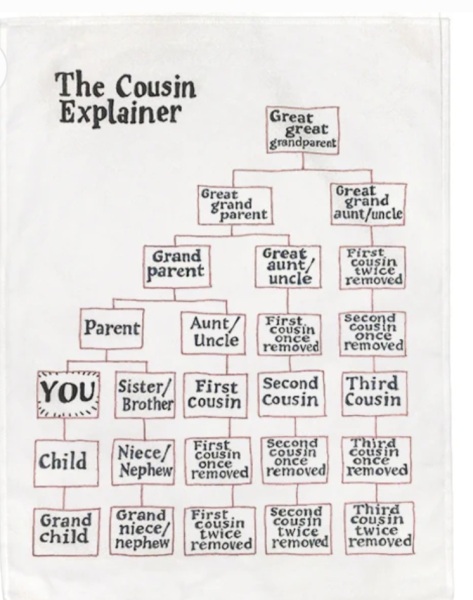 If someone is my 2nd cousin 1x removed ANCESTRY