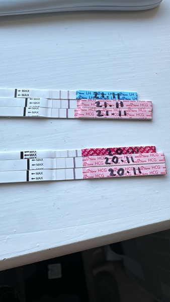 December TTC Support Group