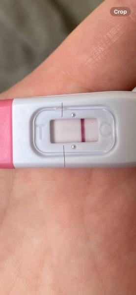 2dpo today, company welcome :)