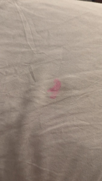 Bright pink stains on bedsheets - bacteria?