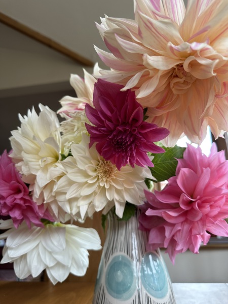 The Nigel Slater Christmas Chronicles Readalong 2024