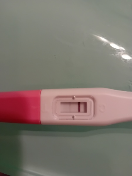 Is this what I think it is? Surprise.