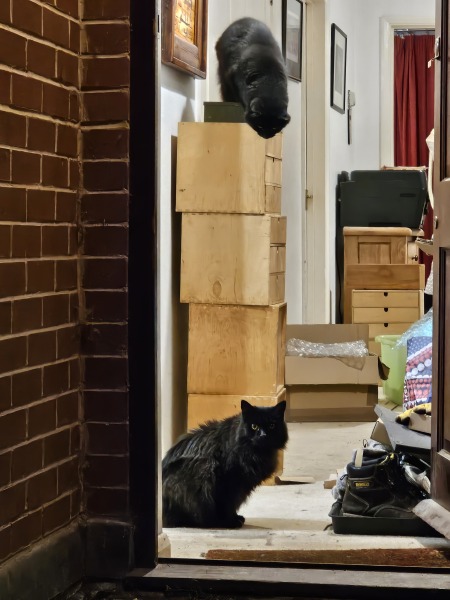 Thread 12 Starmer: From Prescott to Rayner, working class grit