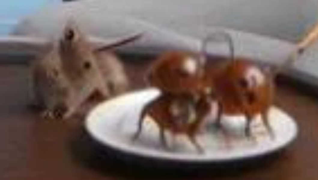 Bluestocking: the one where Boiled gets to the bar first!