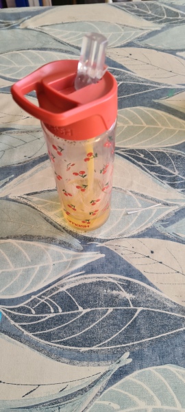 I just want a water bottle which....