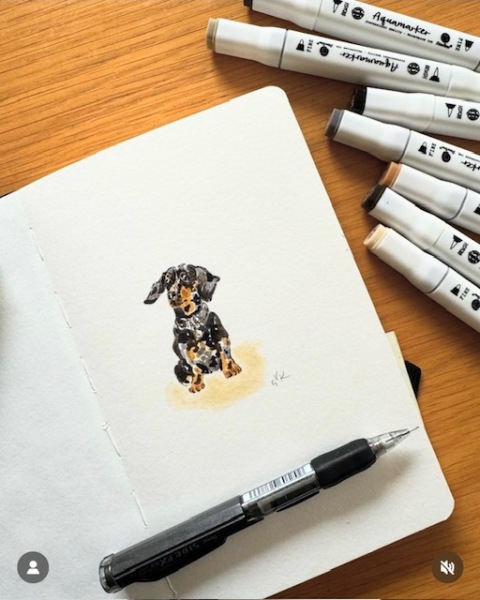 Reasonably decent colouring pens for an adult?