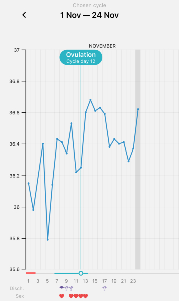 Nov 2024 TTC 💖 part 2 ✨
