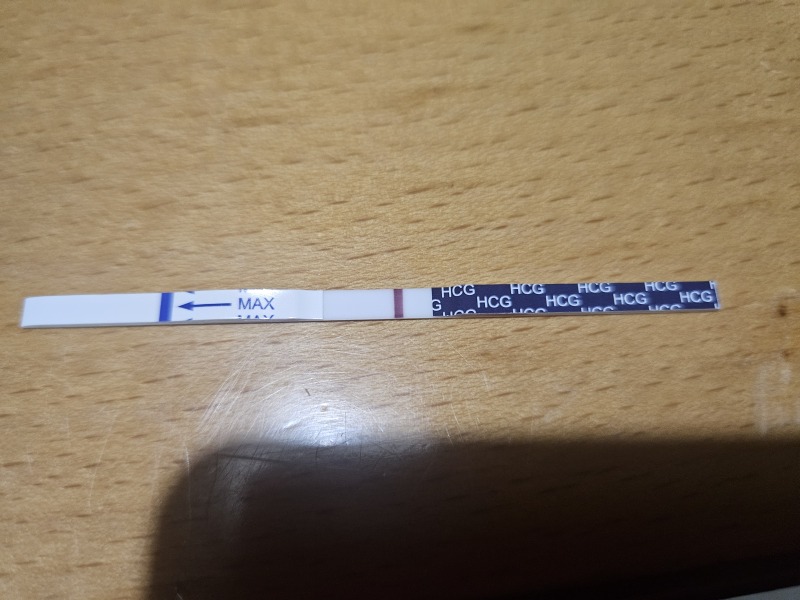Can someone help me?