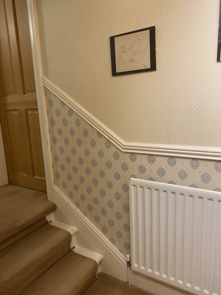 Should dado rail follow floor or ceiling?