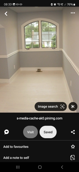 Dado rail? Yay or Nay?