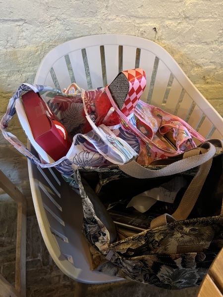 Trick or Cat Treat? The Excellent Cats do Halloween