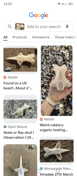 What’s this I’ve just found on the beach?
