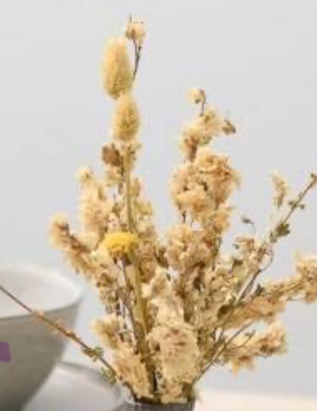 Where can I find dried flowers like this?