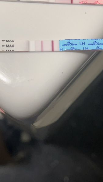 Ovulation test at cd8