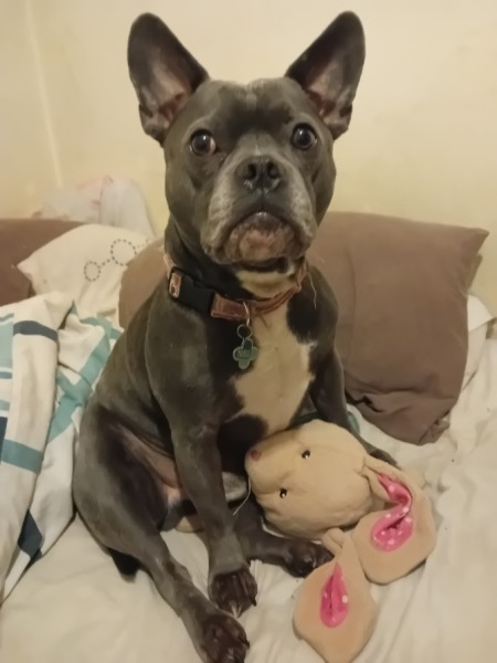 The Continuing Support Thread for Anyone Trying to Lead an Alcohol-Free Life Winter 2024