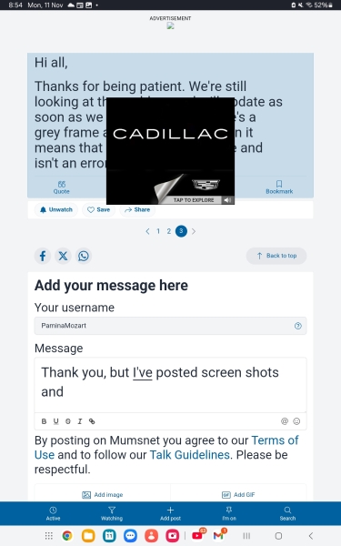 Huge adverts making site unusable