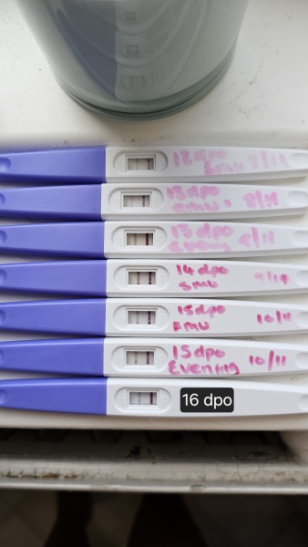 In limbo, 19dpo with no progression on tests and no AF