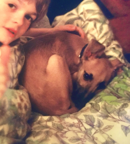 ExH brought his dog in my house without permission