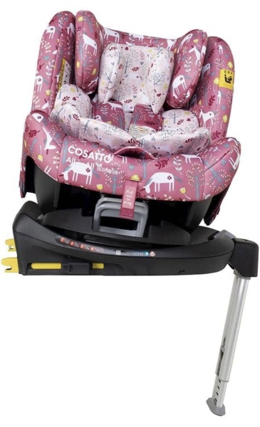 Does anyone have this cosatto seat?