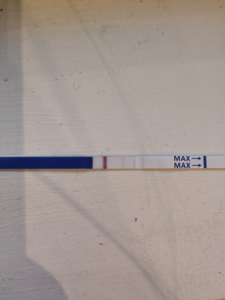 9DPO VFL?