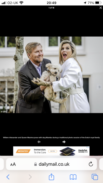 Royal Style: Welcome to the Court of the Dragon Queen!