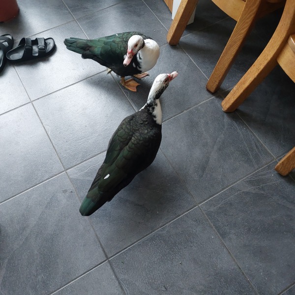 Come and tell me your dull and unexciting news 31: Calmly through the day