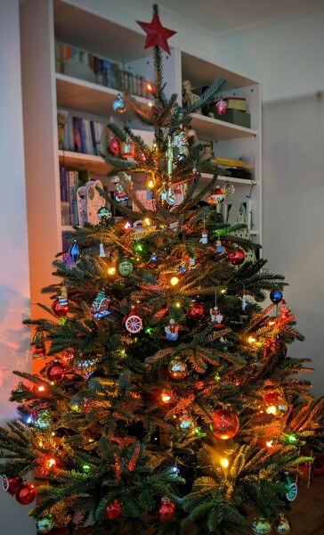 Show us your Christmas trees