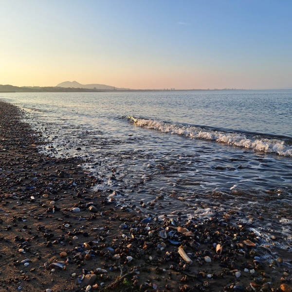 Mounjaro August starters #7