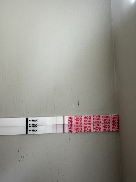 Nov 2024 TTC 💖 part 2 ✨