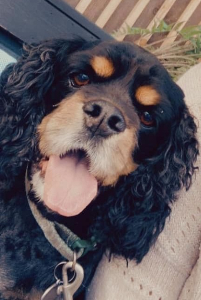 The Nigel Slater Christmas Chronicles Readalong 2024 Part 2